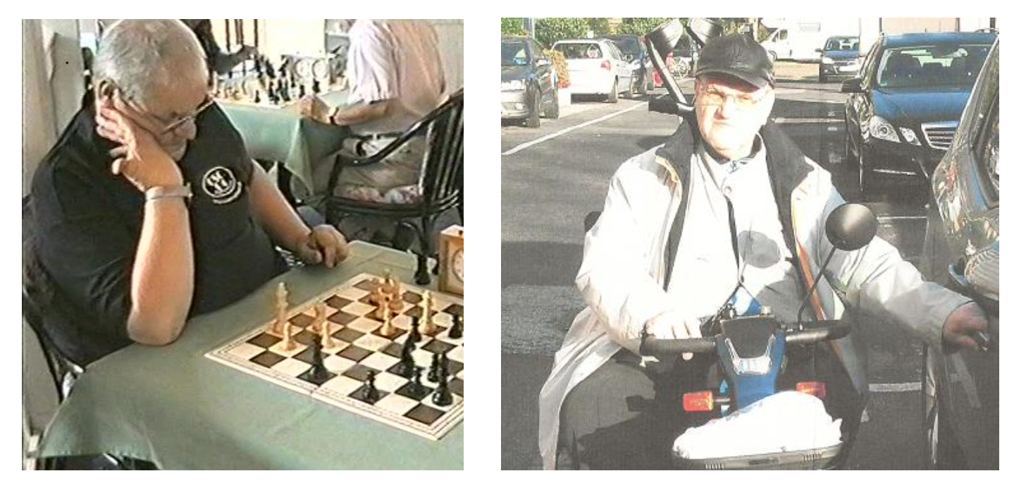Play Daily (Correspondence) Chess